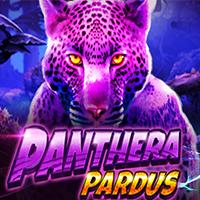 Panthera Pardus